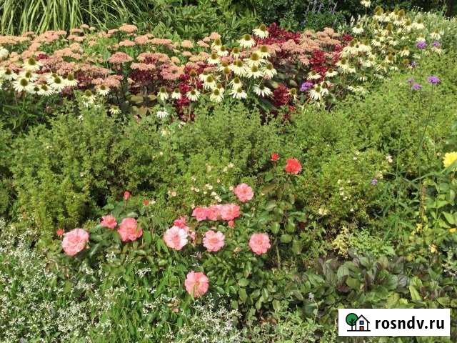 Участок ИЖС 10 сот. на продажу в Шатуре Шатура - изображение 1