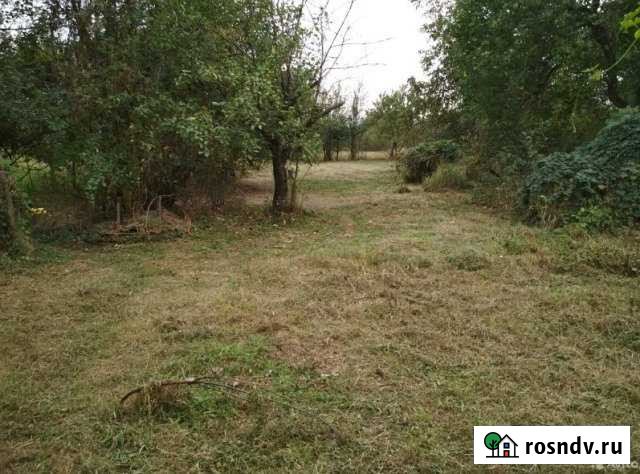 Участок ИЖС 20 сот. на продажу в Северской Северская - изображение 1