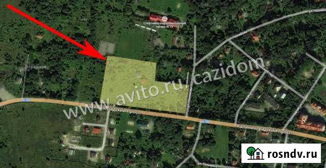 Участок ИЖС 148 сот. на продажу в Светлогорске Светлогорск - изображение 1