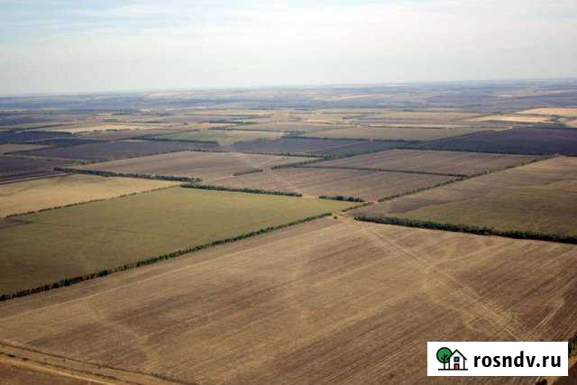 Участок СНТ, ДНП 950 сот. на продажу в Барнауле Барнаул - изображение 1