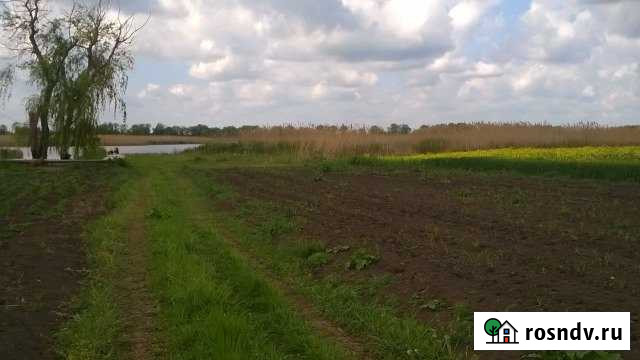 Участок ИЖС 40 сот. на продажу в Динской Динская - изображение 1