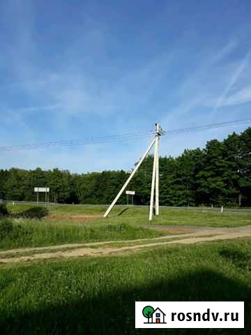 Участок ИЖС 33 сот. на продажу в Бегуницах Бегуницы - изображение 1