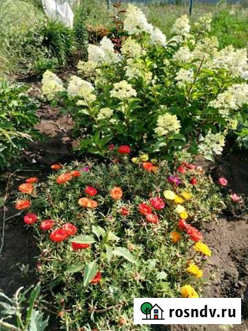 Участок ИЖС 8 сот. на продажу в Комсомольском Самарской области Комсомольский - изображение 1