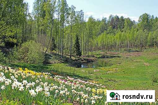 Участок СНТ, ДНП 1200 сот. на продажу в Гарболово Гарболово - изображение 1