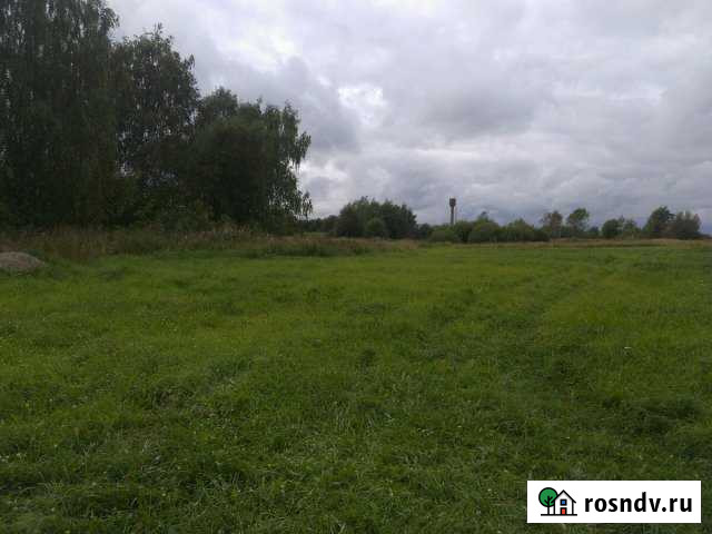 Участок ИЖС 38 сот. на продажу в Дубках Ярославской области Дубки - изображение 1