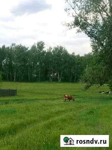 Участок ИЖС 50 сот. на продажу в Шушенском Шушенское - изображение 1