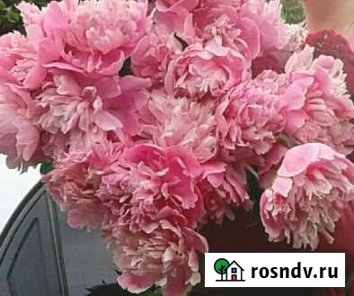 Дача 24 м² на участке 6 сот. на продажу в Вологде Вологда - изображение 1