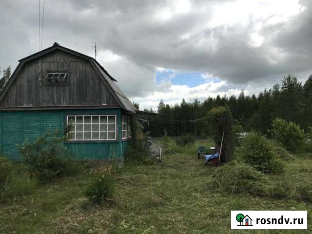 Дача 30 м² на участке 17 сот. на продажу в Александрове Александров - изображение 1