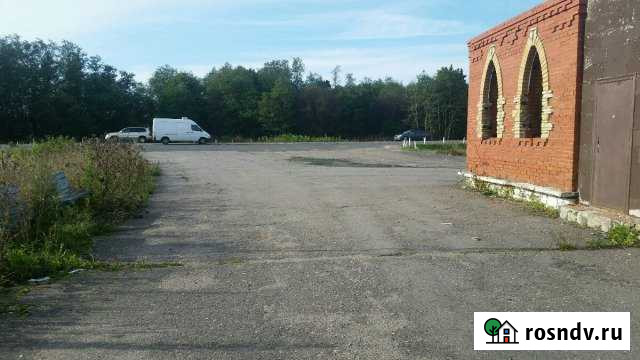 Участок промназначения 20 сот. в аренду в Бегуницах Бегуницы - изображение 1