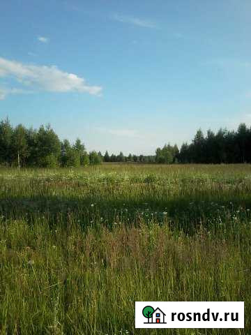 Участок ИЖС 50 сот. на продажу в Лесном Рязанской области Лесной - изображение 1