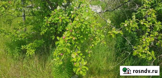 Участок СНТ, ДНП 6 сот. на продажу в Пущино Пущино - изображение 1