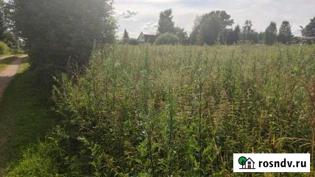 Участок ИЖС 30 сот. на продажу в Осташкове Осташков - изображение 1