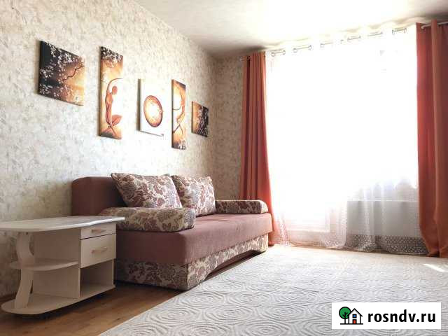 1-комнатная квартира, 42 м², 17/17 эт. в аренду на длительный срок в Королеве Королев - изображение 1