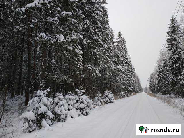 Участок СНТ, ДНП 8 сот. на продажу в Первомайском Ленинградской области Первомайское - изображение 1