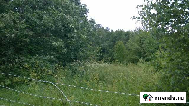 Участок ИЖС 10 сот. на продажу в Сясьстрое Сясьстрой - изображение 1