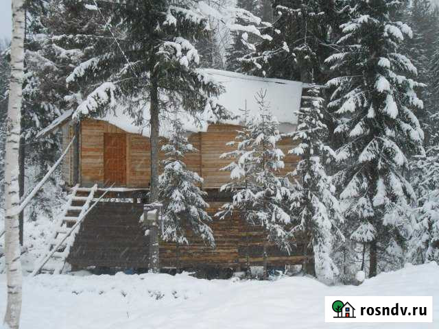 Дача 30 м² на участке 20 сот. в аренду посуточно в Сыктывкаре Сыктывкар - изображение 1