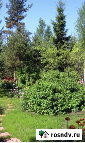 Дача 25 м² на участке 6 сот. на продажу в Ростове-на-Дону Ростов-на-Дону - изображение 1