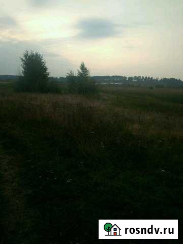 Участок ИЖС 11 сот. на продажу в Васильево Васильево - изображение 1