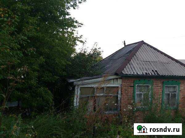 Дача 20 м² на участке 12 сот. на продажу в Искитиме Искитим - изображение 1