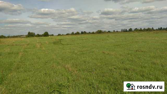 Участок СНТ, ДНП 1000 сот. на продажу в Белом Тверской области Белый - изображение 1