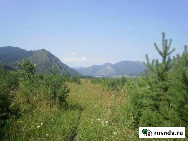 Участок СНТ, ДНП 244 сот. на продажу в Горно-Алтайске Горно-Алтайск - изображение 1