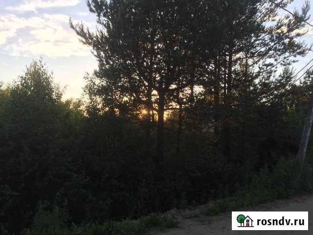 Участок СНТ, ДНП 10 сот. на продажу в Сертолово Сертолово - изображение 1