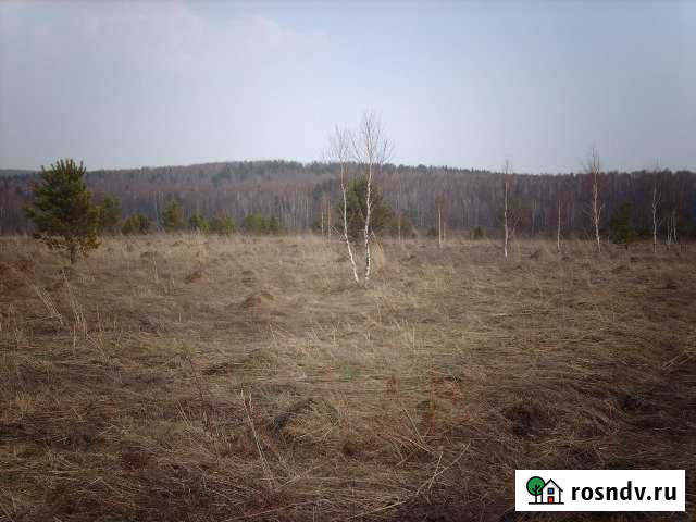 Участок СНТ, ДНП 131 сот. на продажу в Болотном Болотное - изображение 1