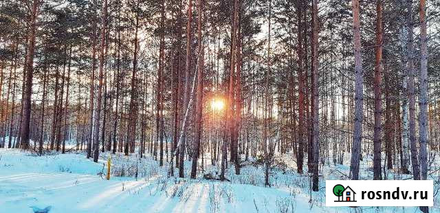 Участок СНТ, ДНП 9 сот. на продажу в Сысерти Сысерть - изображение 1