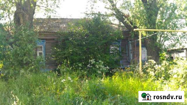 Участок ИЖС 50 сот. на продажу в Починках Починки - изображение 1