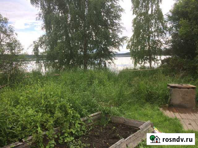 Участок ИЖС 11 сот. на продажу в Пряже Пряжа - изображение 1