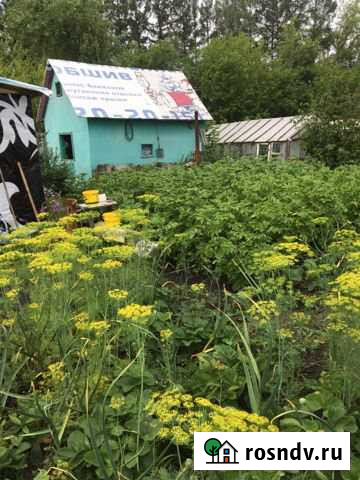 Дача 20 м² на участке 4 сот. на продажу в Каменске-Уральском Каменск-Уральский - изображение 1