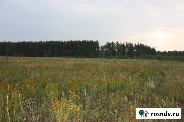 Участок СНТ, ДНП 407 сот. на продажу в Киржаче Киржач - изображение 1