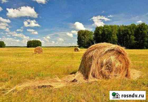 Участок СНТ, ДНП 300000 сот. на продажу во Владимире Владимир