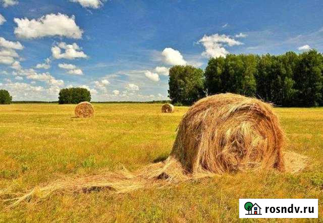 Участок СНТ, ДНП 300000 сот. на продажу во Владимире Владимир - изображение 1