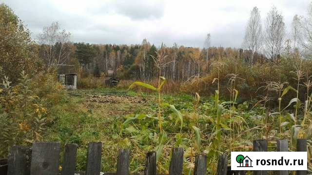 Участок СНТ, ДНП 4 сот. на продажу в Калтане Калтан - изображение 1