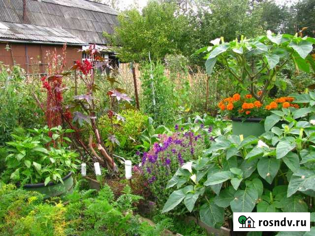 Дом 60 м² на участке 6 сот. на продажу в Карасуке Карасук - изображение 1