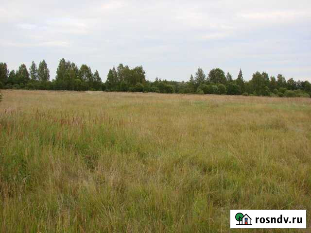 Участок СНТ, ДНП 6600 сот. на продажу в Демидове Демидов - изображение 1