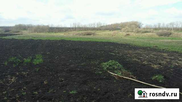 Участок СНТ, ДНП 40 сот. в аренду в Отрадо-Кубанском Отрадо-Кубанское - изображение 1