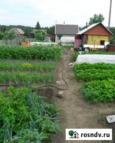 Участок СНТ, ДНП 6 сот. на продажу в Свободном Свердловской области Свободный - изображение 1