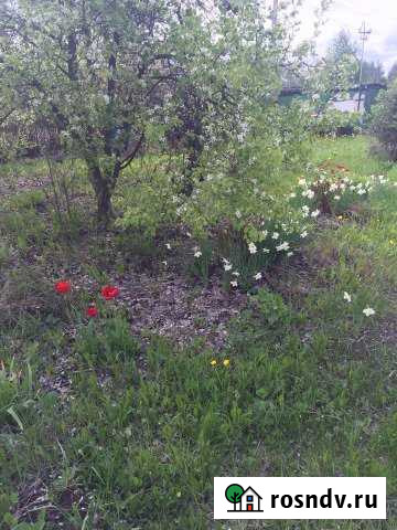 Участок СНТ, ДНП 7 сот. на продажу в Раменском Раменское - изображение 1