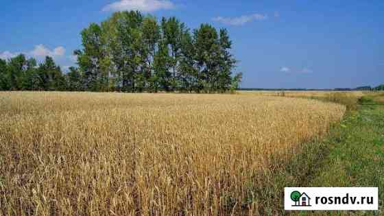 Участок ИЖС 36 сот. на продажу в Кунгуре Кунгур