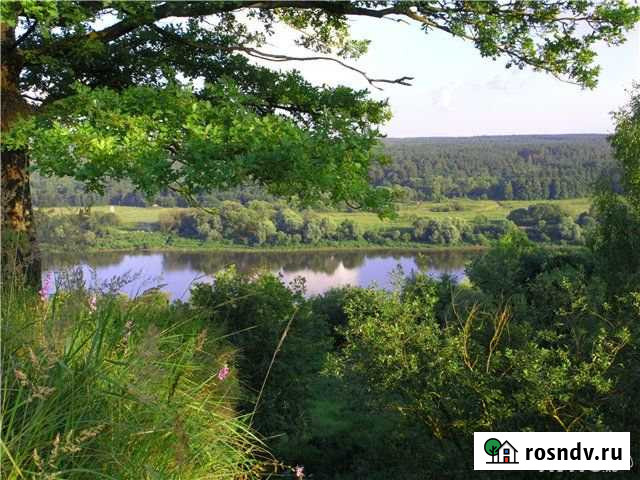 Участок ИЖС 40 сот. на продажу в Алексине Алексин - изображение 1