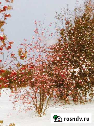 Участок ИЖС 19 сот. на продажу в Николо-Павловском Николо-Павловское - изображение 1