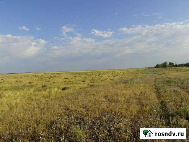 Участок СНТ, ДНП 4224 сот. на продажу в Палласовке Палласовка - изображение 1