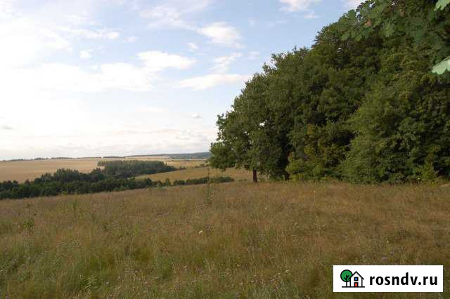 Участок ИЖС 16 сот. на продажу в Пронске Пронск - изображение 1