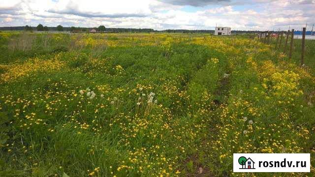 Участок ИЖС 20 сот. на продажу в Волосово Волосово - изображение 1