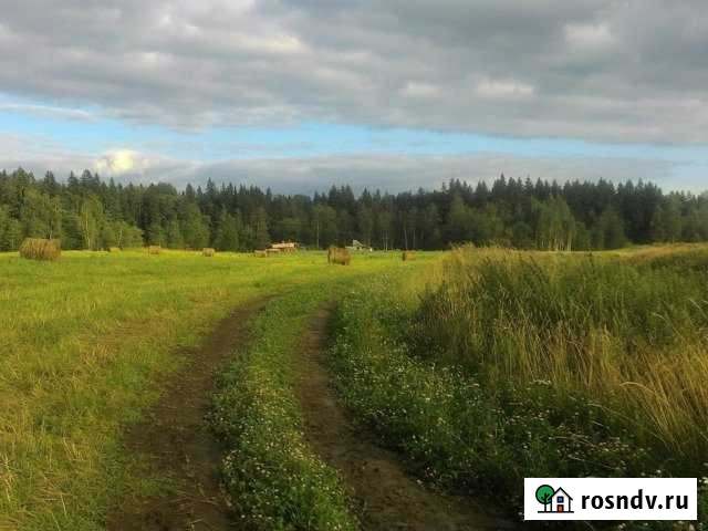 Участок СНТ, ДНП 241 сот. на продажу в Гатчине Гатчина - изображение 1