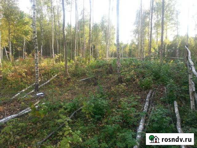 Участок СНТ, ДНП 10 сот. на продажу в Переславле-Залесском Переславль-Залесский - изображение 1