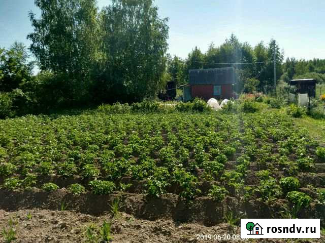 Дача 20 м² на участке 8 сот. на продажу в Александрове Александров - изображение 1
