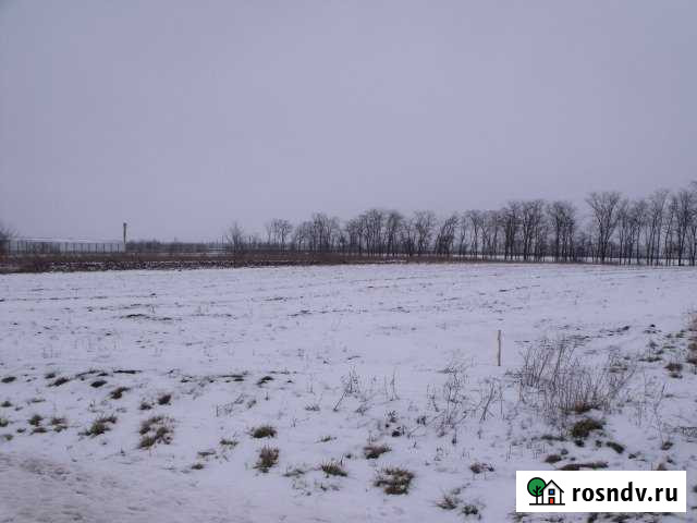 Участок ИЖС 38 сот. на продажу в Тбилисской Тбилисская - изображение 1